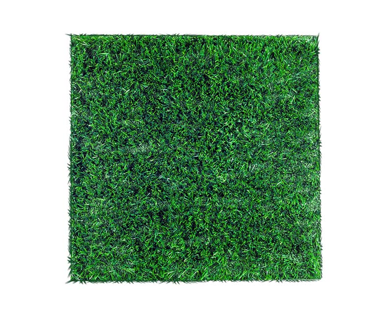Turf Image